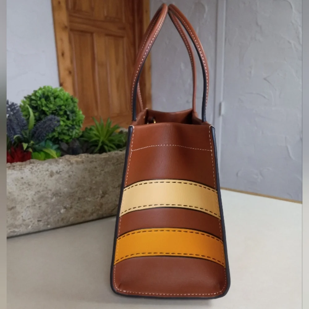 Cashin Carry Bag 22 With Trompe L'oeil Print, Saddle Multi 2022 Runway